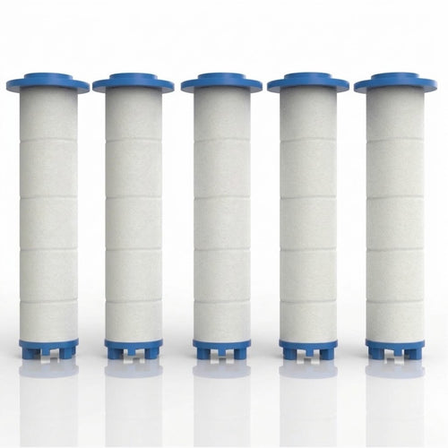 Filtres Besttywo pour pommeau de douche filtrant