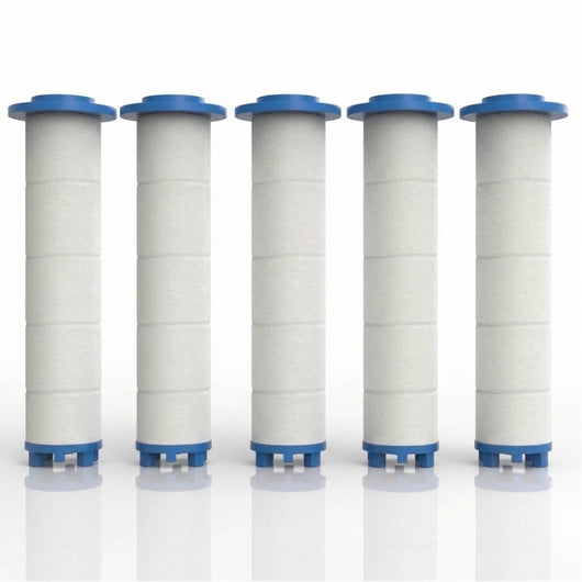 Filtres Besttywo pour pommeau de douche filtrant